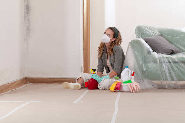 Reliable Mold Remediation contractor in Saint Augustine, FL by WQB Mold Removal